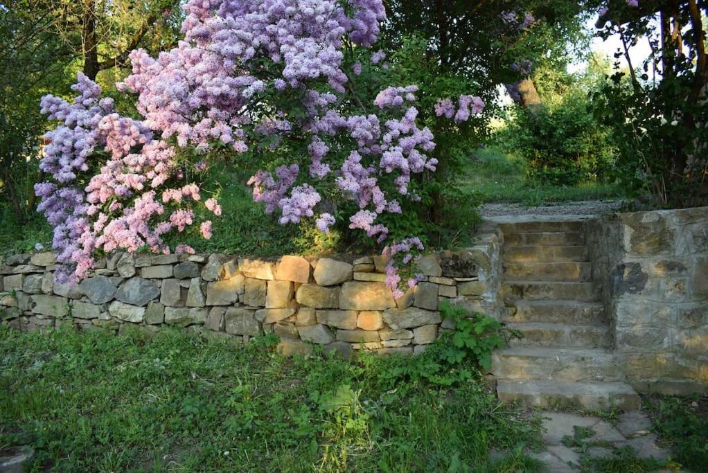 Birdsong Cottage - Peaceful Country Retreat Pauleni-Ciuc Bagian luar foto