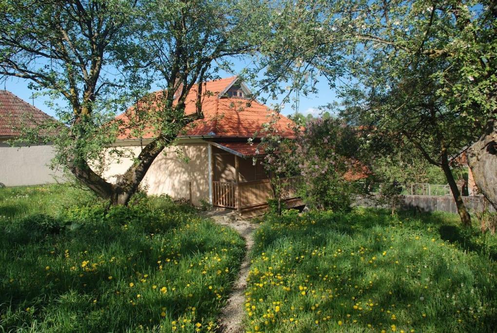 Birdsong Cottage - Peaceful Country Retreat Pauleni-Ciuc Bagian luar foto