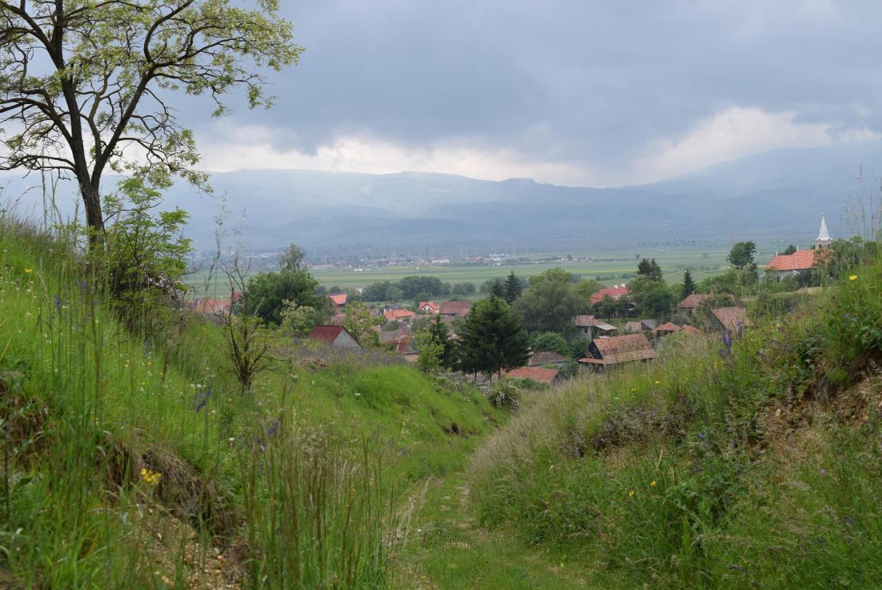 Birdsong Cottage - Peaceful Country Retreat Pauleni-Ciuc Bagian luar foto